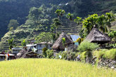 Рисовое поле и деревня Батад