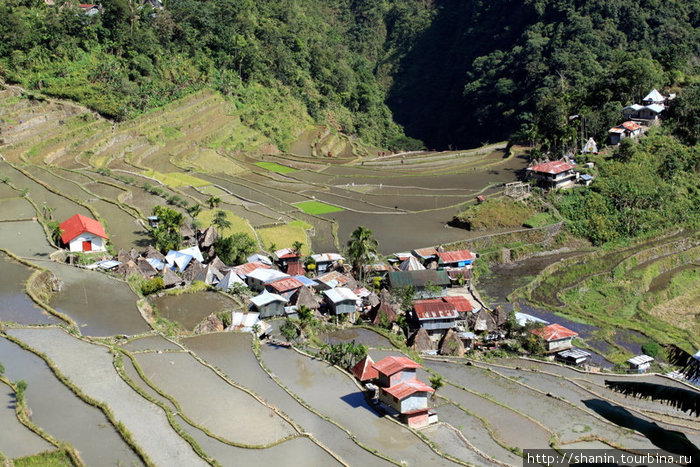 Вид сверху на деревню Батад Банауэ Рисовые Террасы, Филиппины
