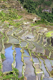 Вид сверху на рисовые террасы