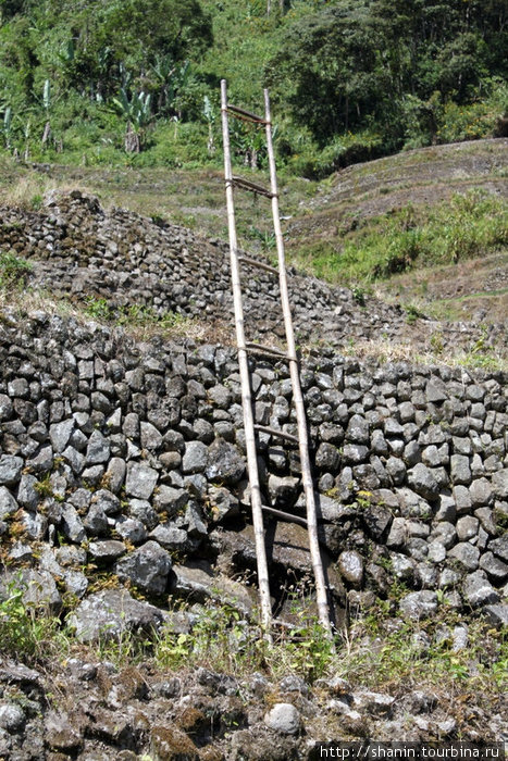 Лестница и каменная стенка Банауэ Рисовые Террасы, Филиппины