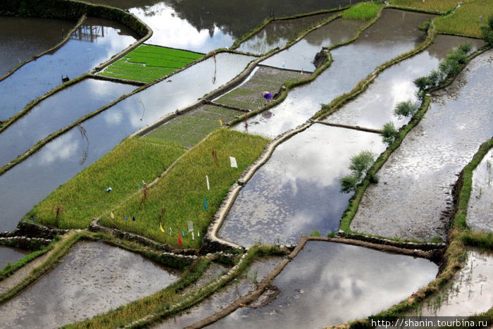 Небо отражается в воде на рисовых террасах Банауэ Рисовые Террасы, Филиппины