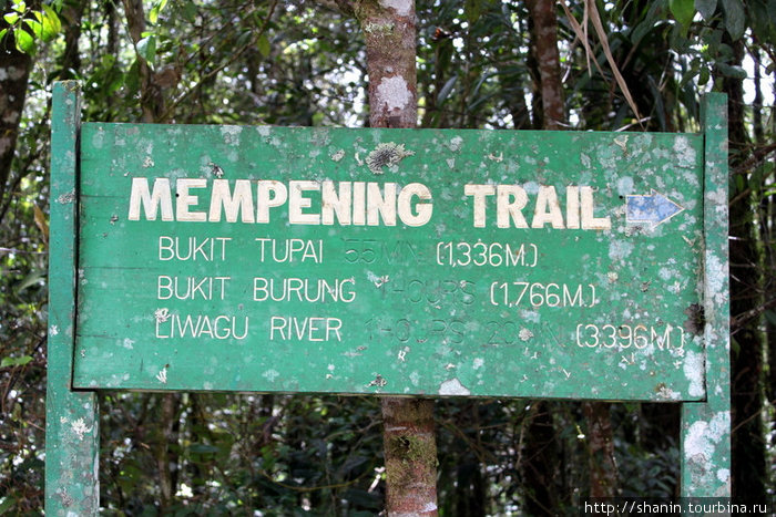 Начало одной из пешеходных троп у подножия горы Штат Сабах, Малайзия
