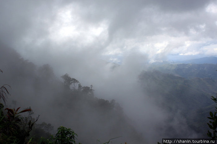 Гора в утреннем тумане Штат Сабах, Малайзия