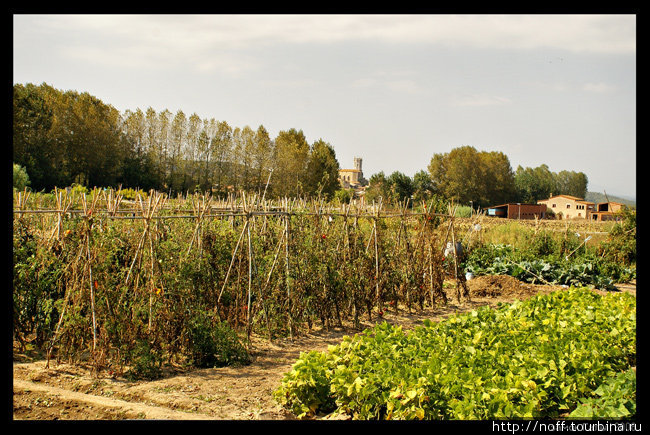 Огороды Пуболь, Испания