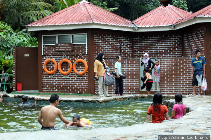 В бассейне Кампонг-Поринг, Малайзия