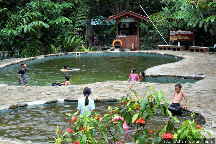 Дети в бассейне Кампонг-Поринг, Малайзия