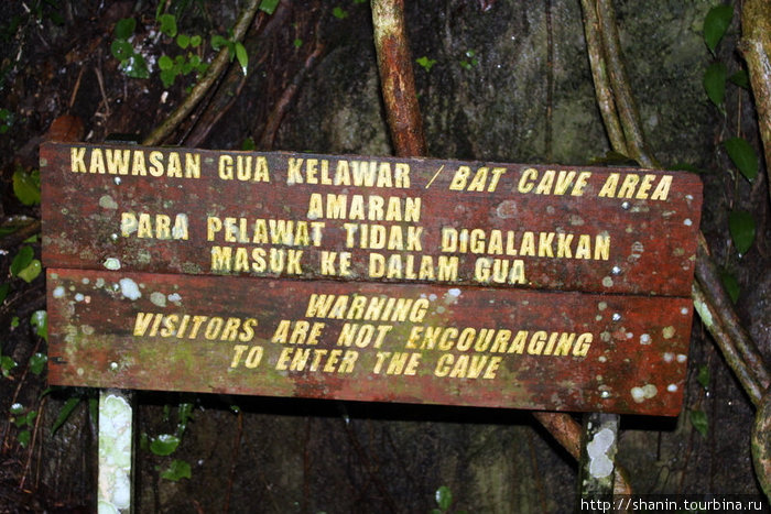 Вход в пещеру летучих мышей запрещен Кампонг-Поринг, Малайзия