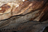 Летучие мыши спят, прикрепивших к своду пещеры.