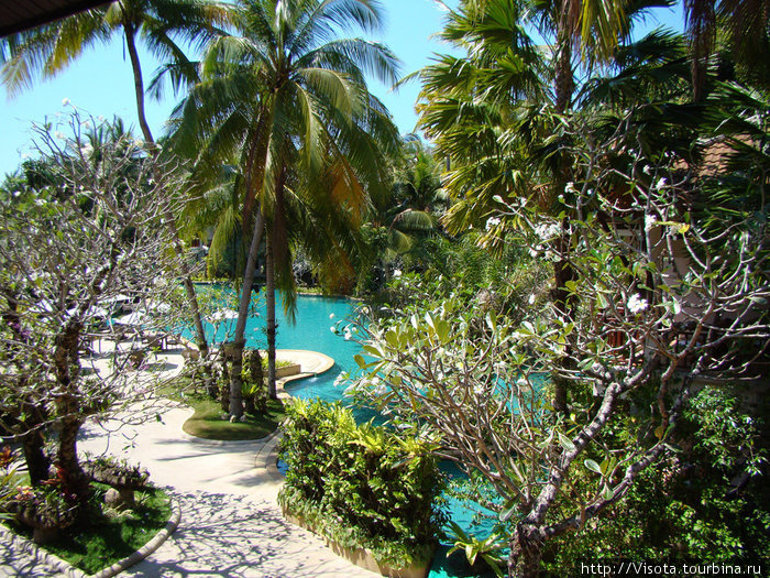 вид с рецепшина на бассейн вид с рецепшина на бассейн