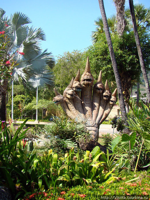 фотанчик около рецепшина и сада орхидей фотанчик около рецепшина и сада орхидей