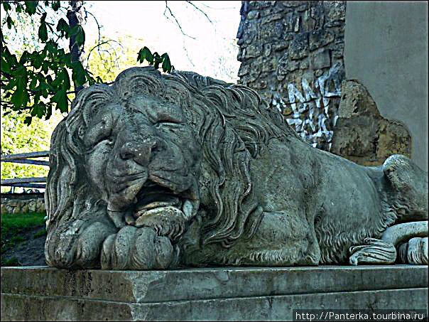 Мраморный лев у Пороховой башни. Львов, Украина