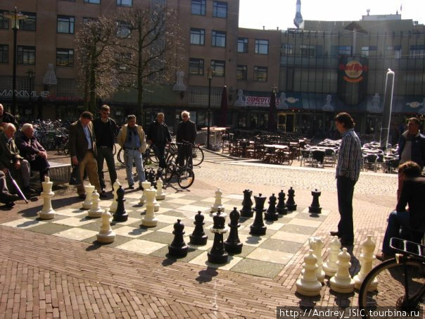 играют в шахматы Амстердам, Нидерланды
