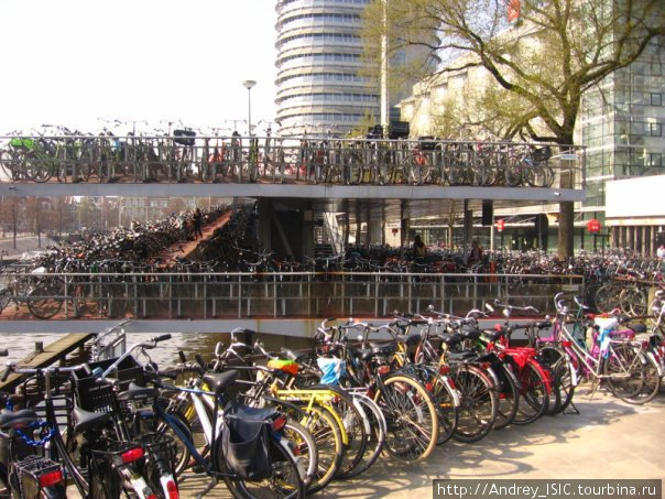 катаются на велосипедах Амстердам, Нидерланды