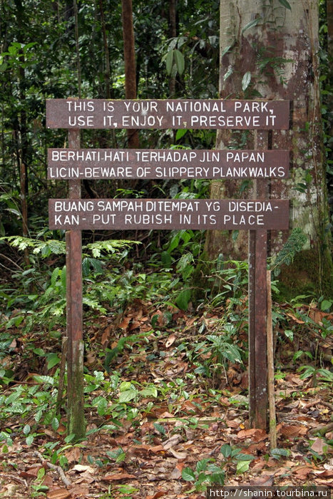 Правила поведения в нацпарке Пещеры Ниах Мири, Малайзия
