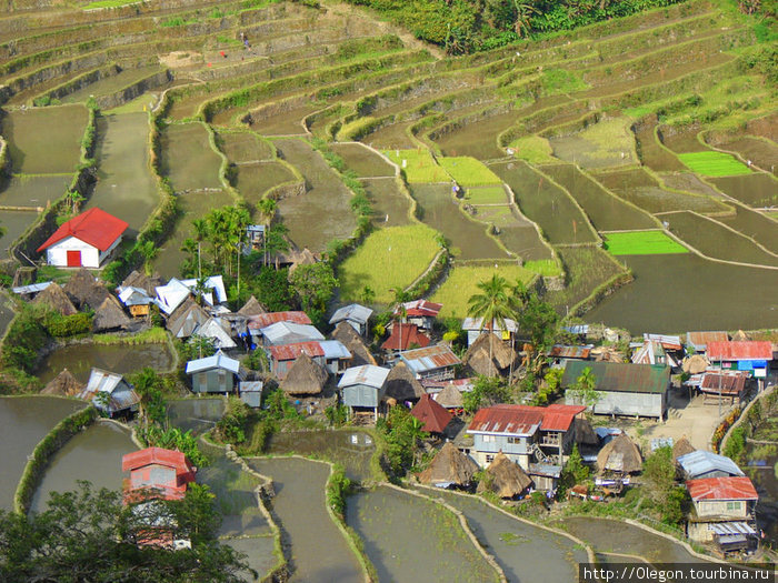 Фото на прощанье Банауэ Рисовые Террасы, Филиппины