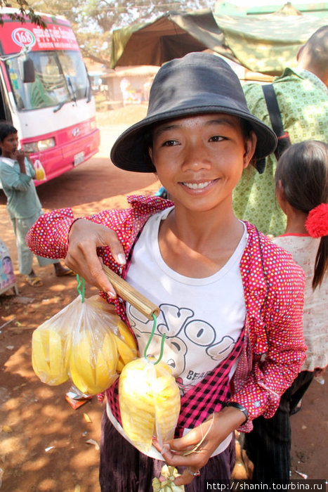 Продавщица фруктов — манго и ананас Кампот, Камбоджа