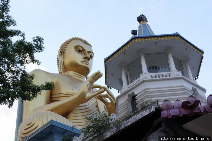 Золотой Будда Дамбулла, Шри-Ланка