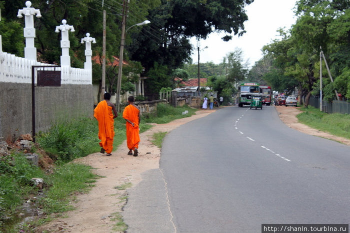 Монахи прогуливаются по дороге перед монастырем Дамбулла, Шри-Ланка