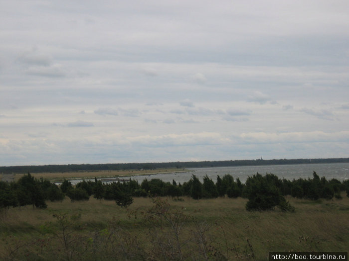 можжевеловые леса охраняются государством Палдиски, Эстония