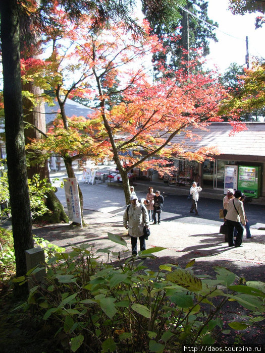 Энряку-дзи - грозный монастырь Префектура Киото, Япония
