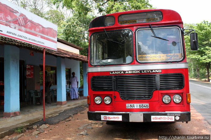 Автобус на промежуточной остановке — на обед. На Шри-Ланке красные автобусы — государственные, на них проезд дешевле, чем на белых частных автобусах Бадулла, Шри-Ланка