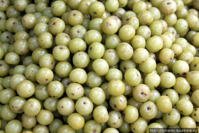 Неизвестные фрукты Бадулла, Шри-Ланка