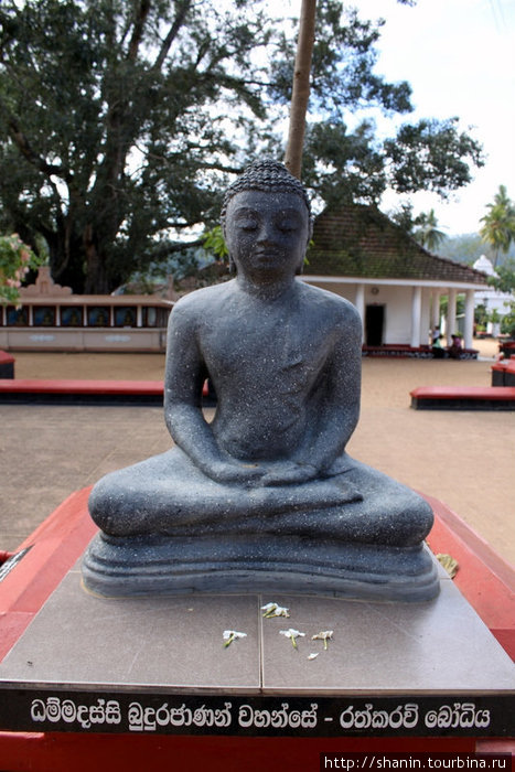 Будда на территории монастыря Мутиягана Вихара Бадулла, Шри-Ланка