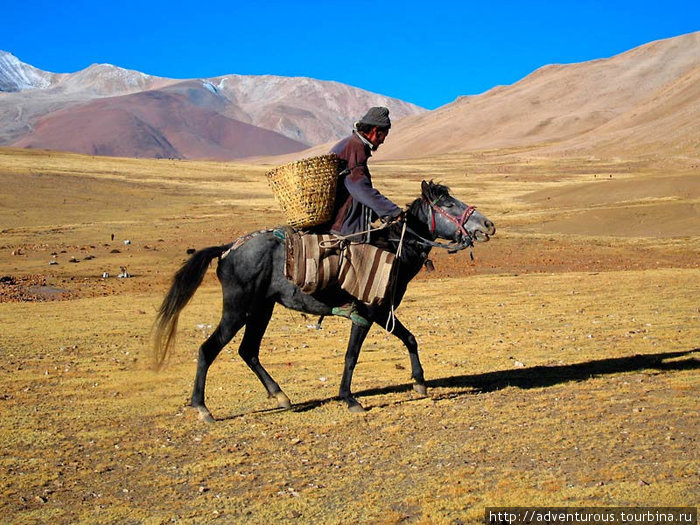 За кизяками. Автор Оксана Юркова Тибет, Китай