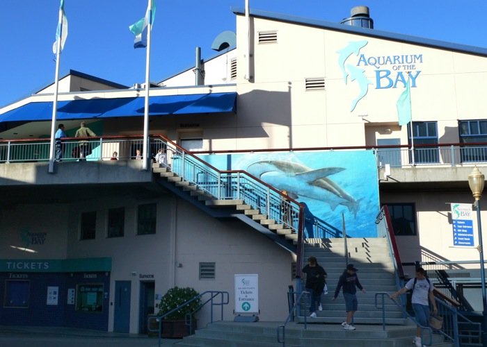 Аквариум / Aquarium of the Bay