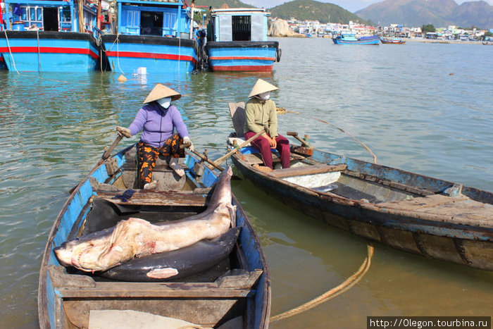 Лодками переправляют с судна на берег Нячанг, Вьетнам