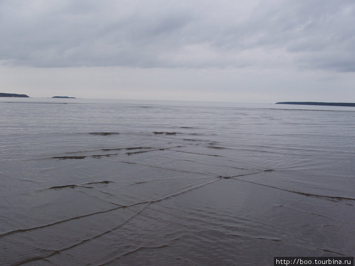 море вышивает свои крестики... Кясму, Эстония