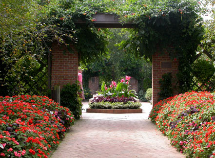 Ботанический сад / Chicago Botanic Garden