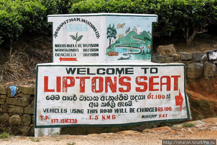 Указатель на Липтон Сит Хапутале, Шри-Ланка