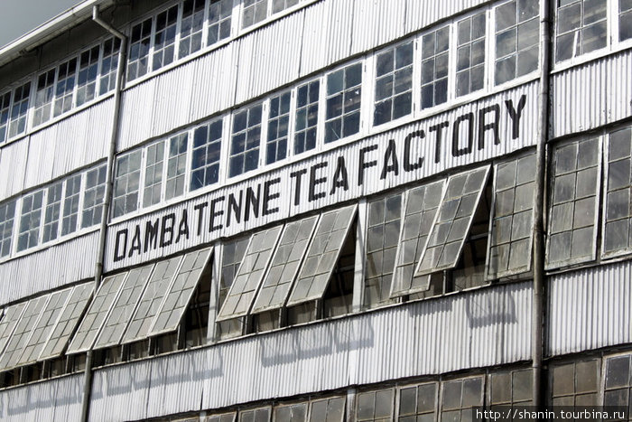 Чайная фабрика Дамбатенне Хапутале, Шри-Ланка