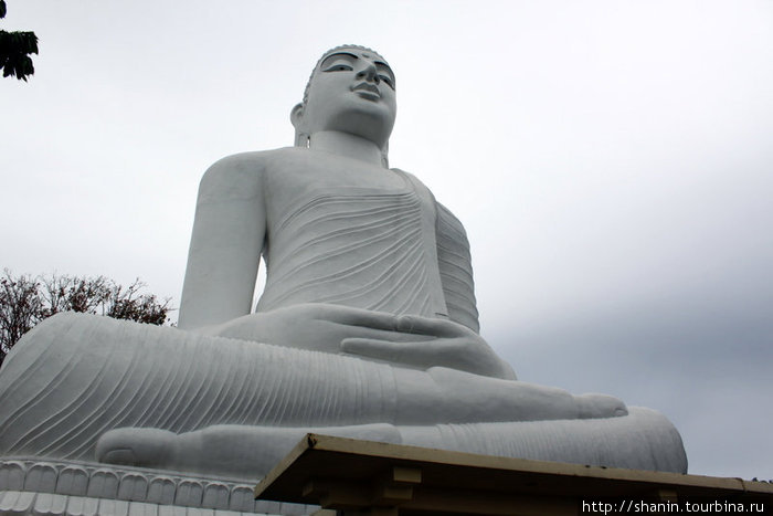 Сидящий Будда Канди, Шри-Ланка
