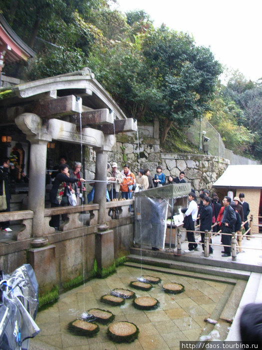 Ловите воду из водопада! Киото, Япония