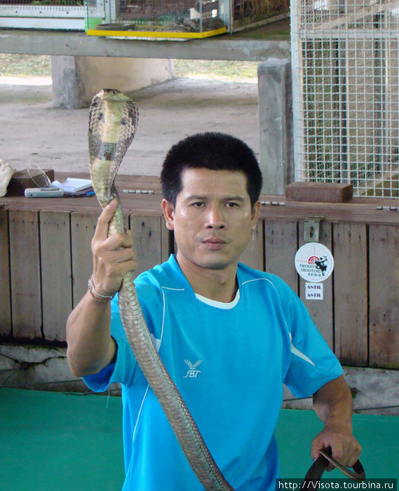 на змеиной ферме Остров Пхукет, Таиланд