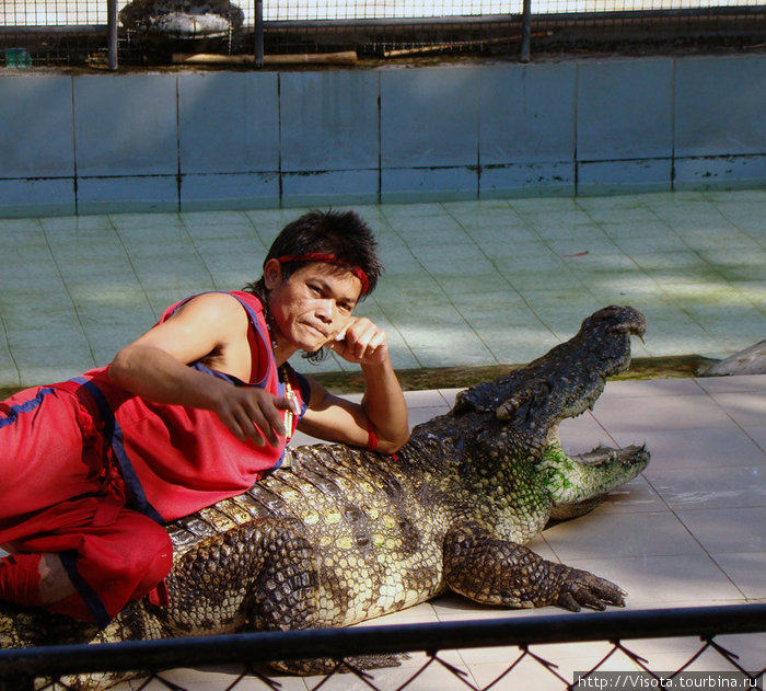 крокодайл-шоу Остров Пхукет, Таиланд