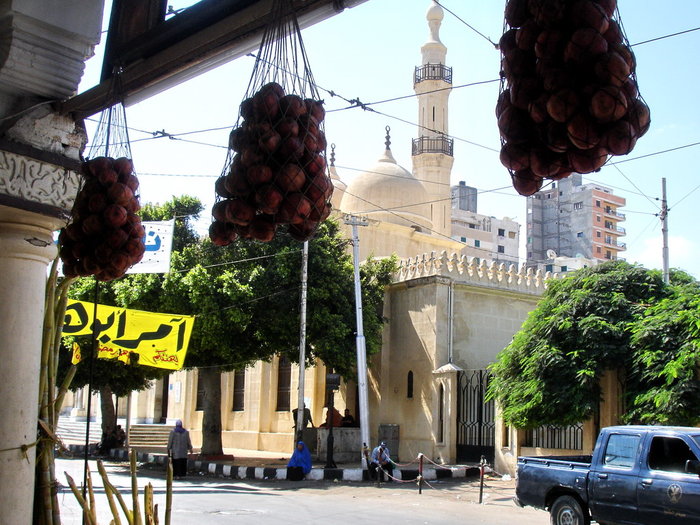 Северный город  южной страны Александрия, Египет
