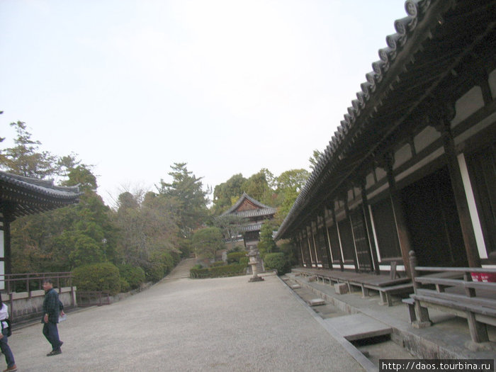 Тосёдай-дзи - Храм образцового содержания Нара, Япония
