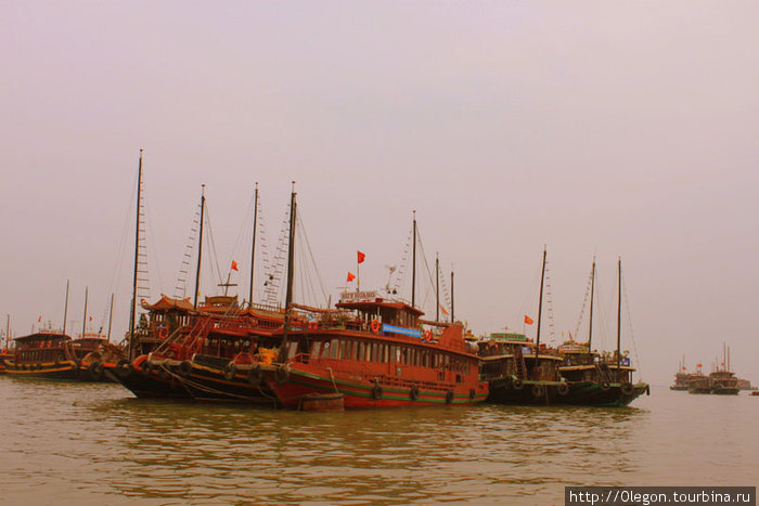 Множество отелей и ресторанов плавает по бухте Халонг Халонг бухта, Вьетнам
