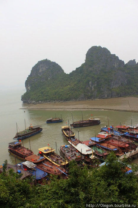 Множество туристов привезли к пещерам на этих корабликах Халонг бухта, Вьетнам