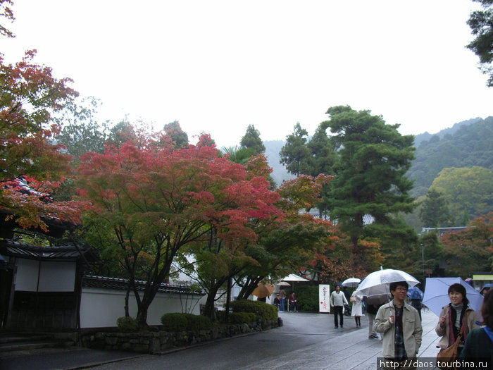Кионо сингоновско-амидаистское - Храм Эйкан-до Киото, Япония