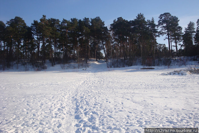 я из лесу вышел, был сильный мороз Юрмала, Латвия