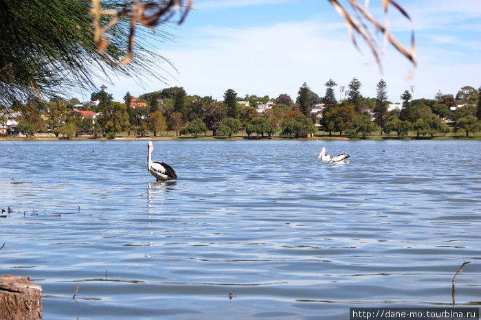 Озеро Монгер Перт, Австралия