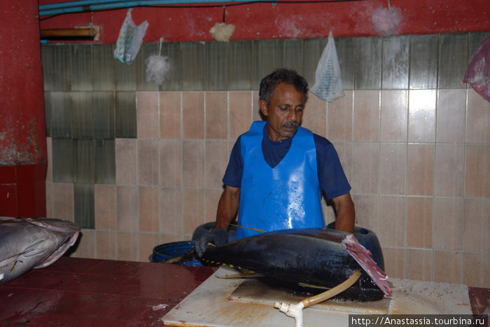 Банановый и рыбный рынки Мале, Мальдивские острова