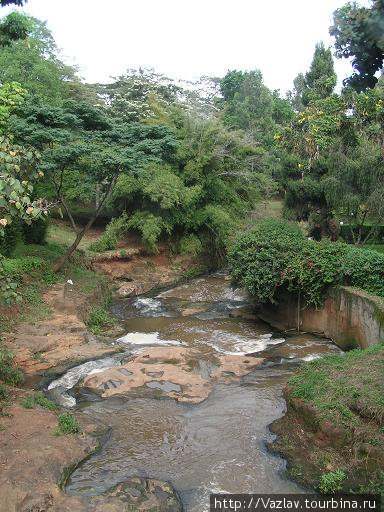 Эту водичку попьёшь — козлёночком станешь... Найроби, Кения