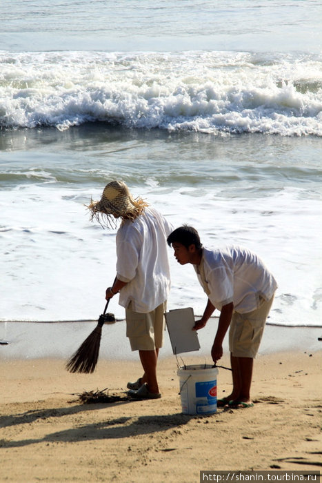 Утренняя уборка береговой линии Нячанг, Вьетнам