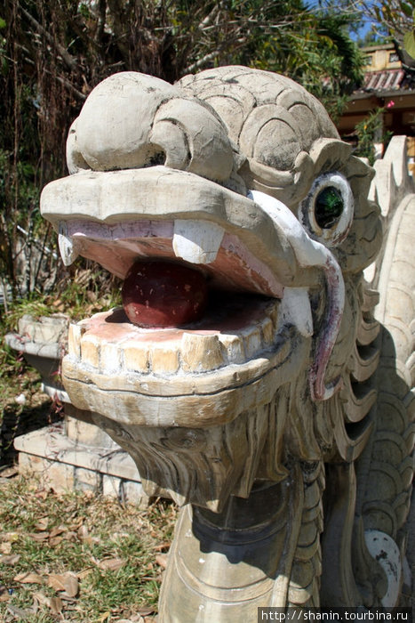 Пасть дракона, охраняющего лестницу Нячанг, Вьетнам