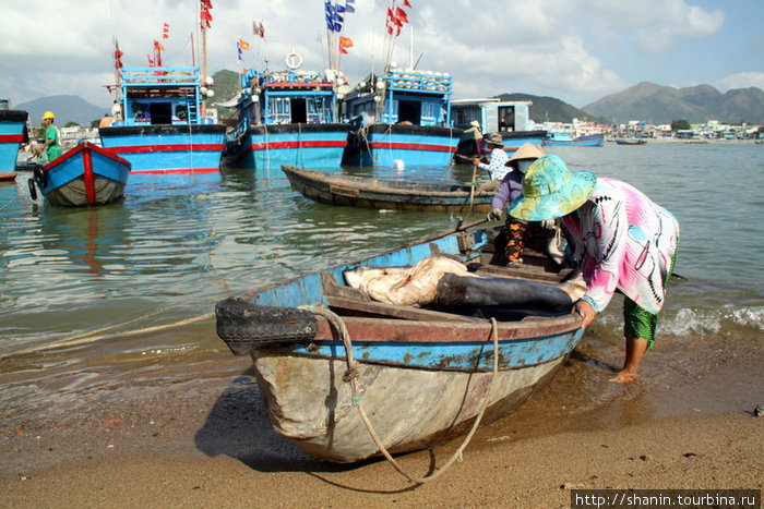 Лодка с рыбой на берегу Нячанг, Вьетнам